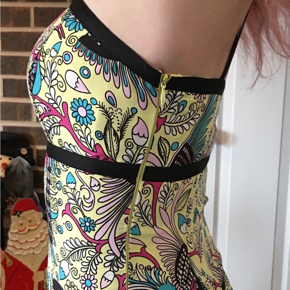 Anthropologie Tabitha size 4. Bird of Paradise silk dress - Picture 3 of 15